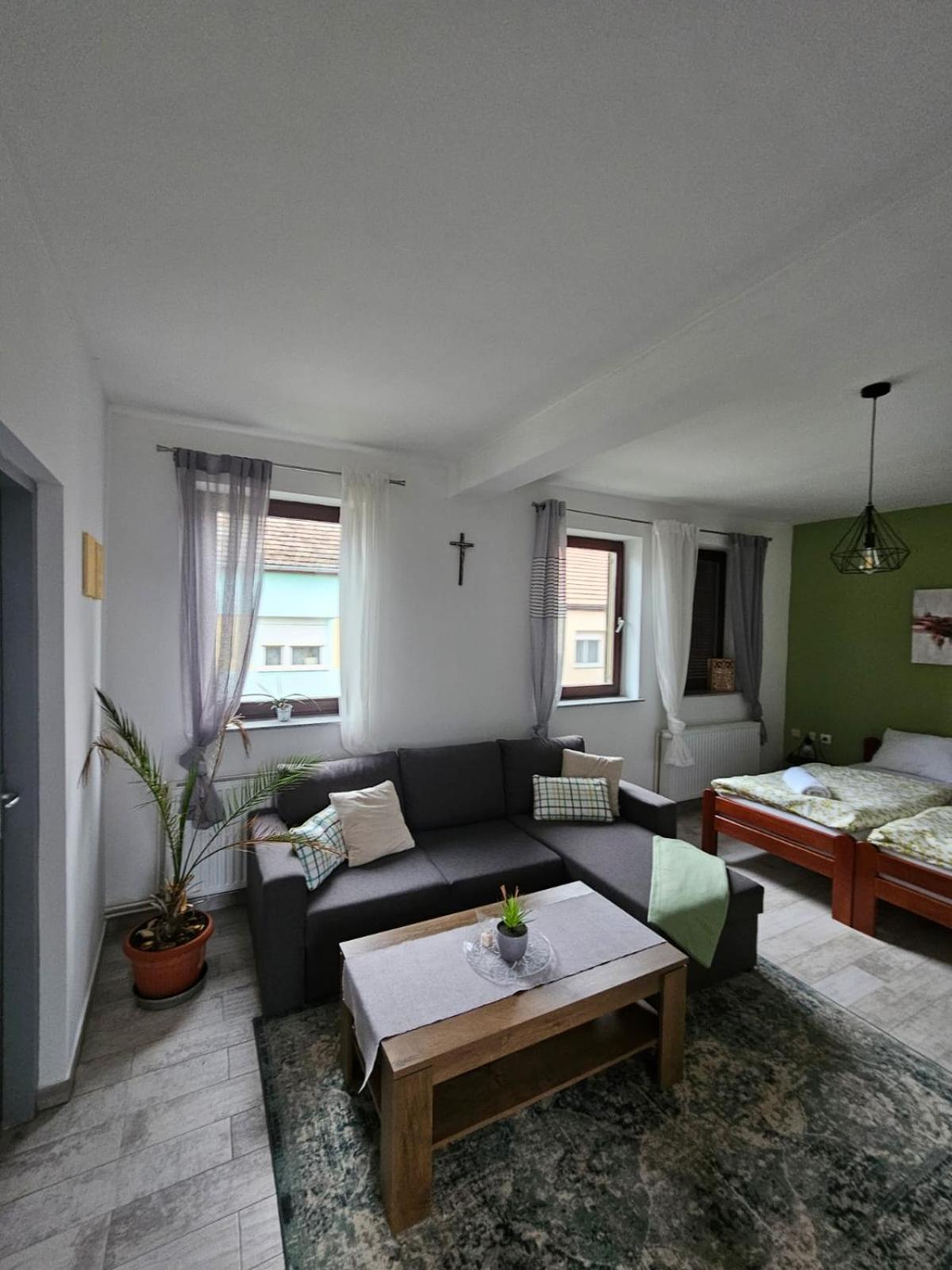 Studio Apartman Dora Ilok Extérieur photo